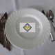 Trianon 24.5 cm flat plate, only lending
