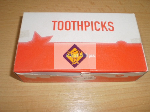 Bulk toothpick 1000 / pack