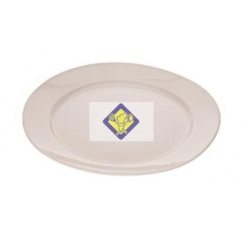 SW plates. 24cm flat