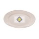 SW plates. 24cm flat