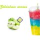 Green Apple flavor 1kg